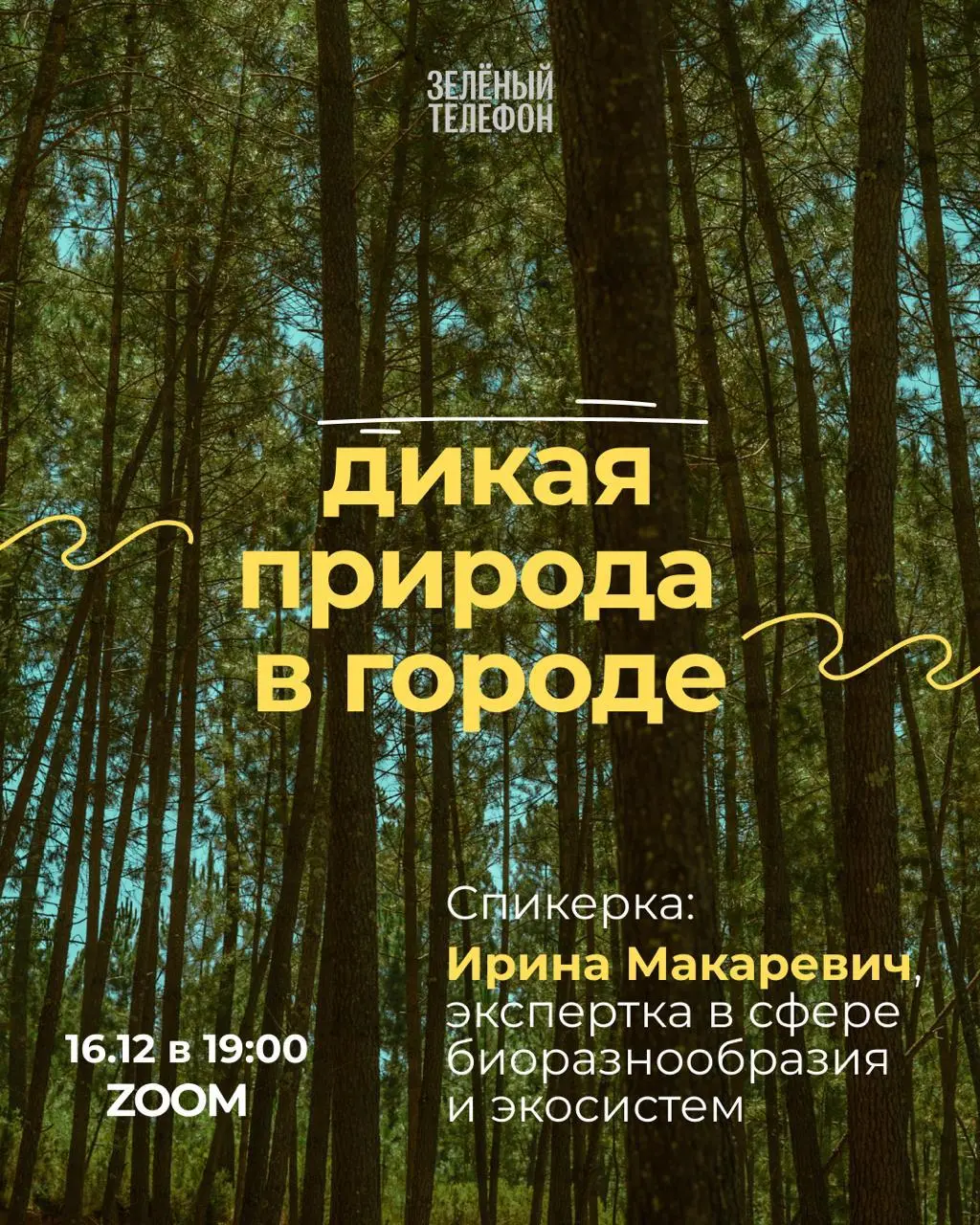 Эфир Zoom о дикой природе в городе