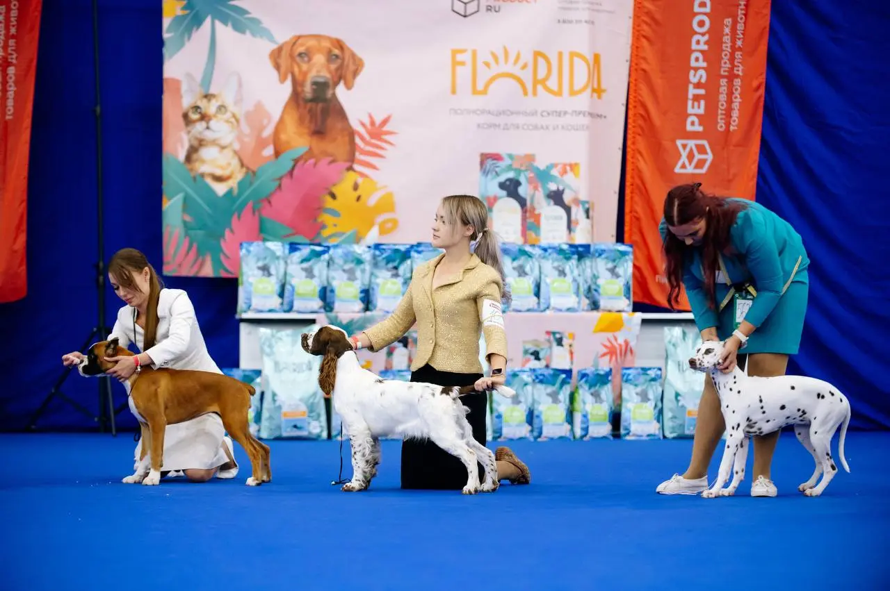 Выставка зоотоваров на тему Зоошоу. Зима 2025