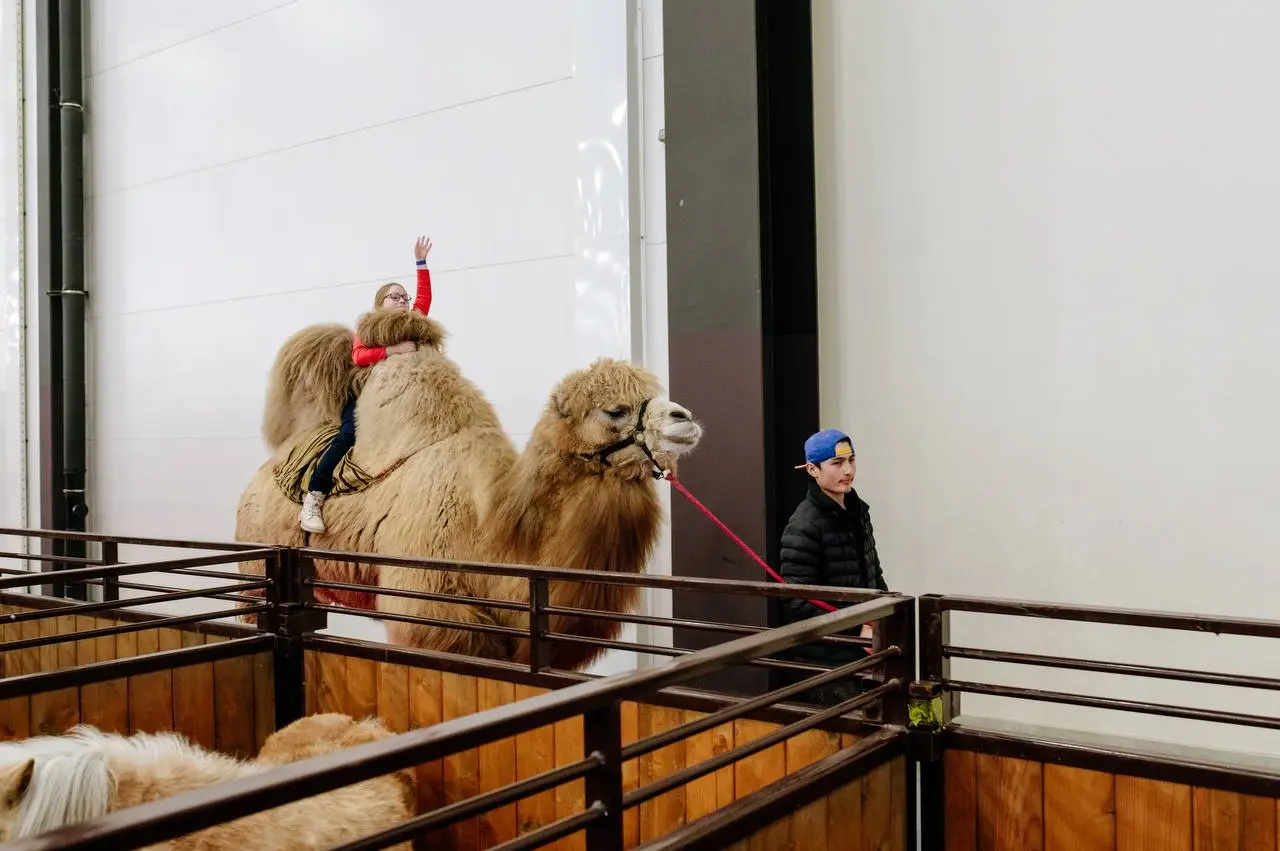 Выставка зоотоваров на тему Зоошоу. Зима 2025