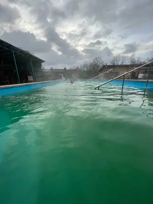 Однодневное путешествие по теме перезагрузки