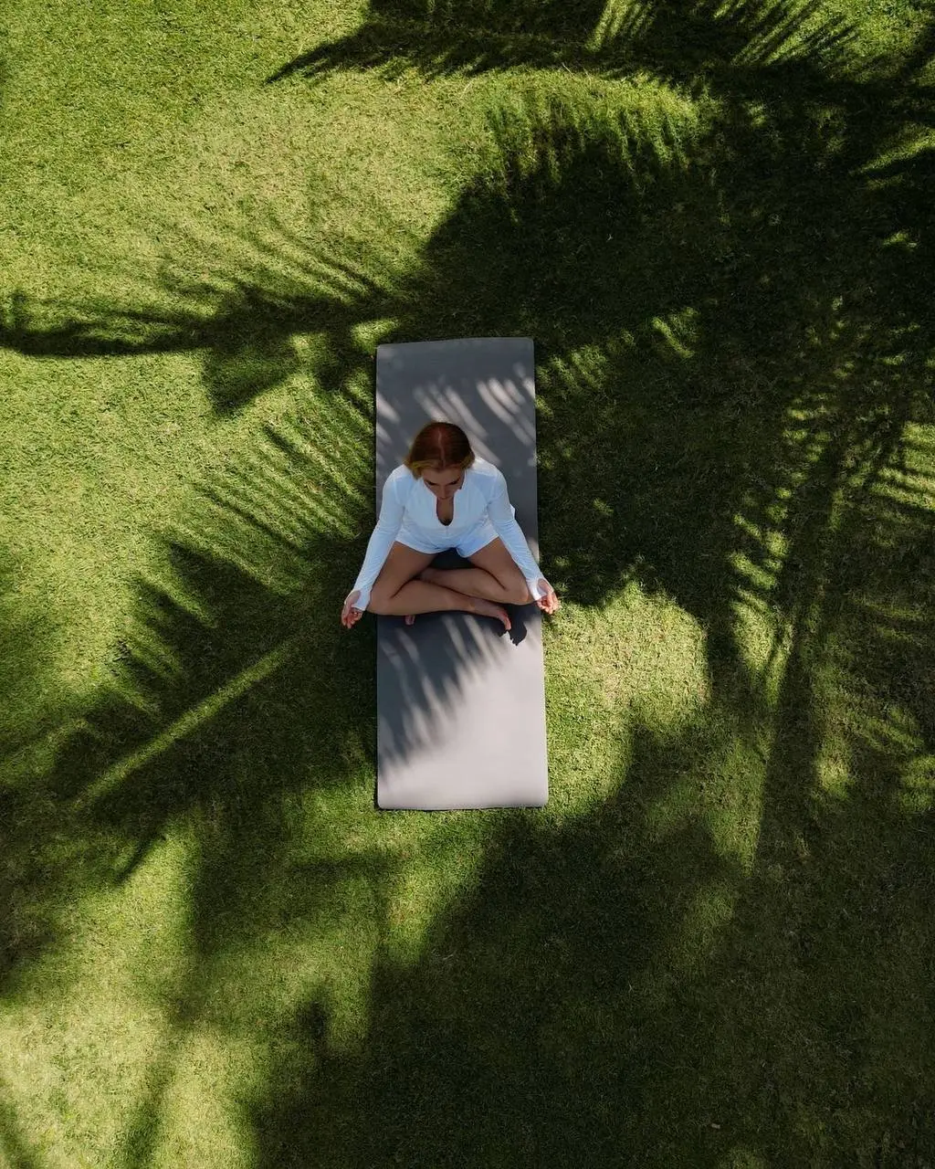 Тур по плаванию с китовыми акулами в Бали и Сумбава