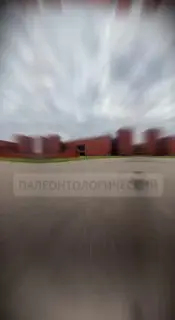 Экскурсия в Палеонтологический музей на тему динозавров