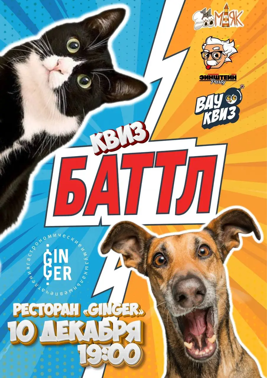 Квиз-Баттл по теме кошек и собак
