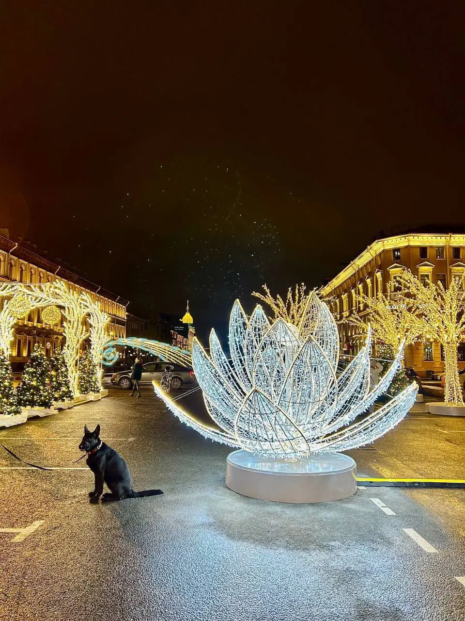 Зимняя инсталляция на Синем мосту