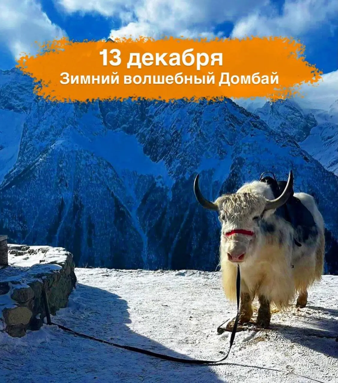 Поездка в зимнюю сказку Домбай