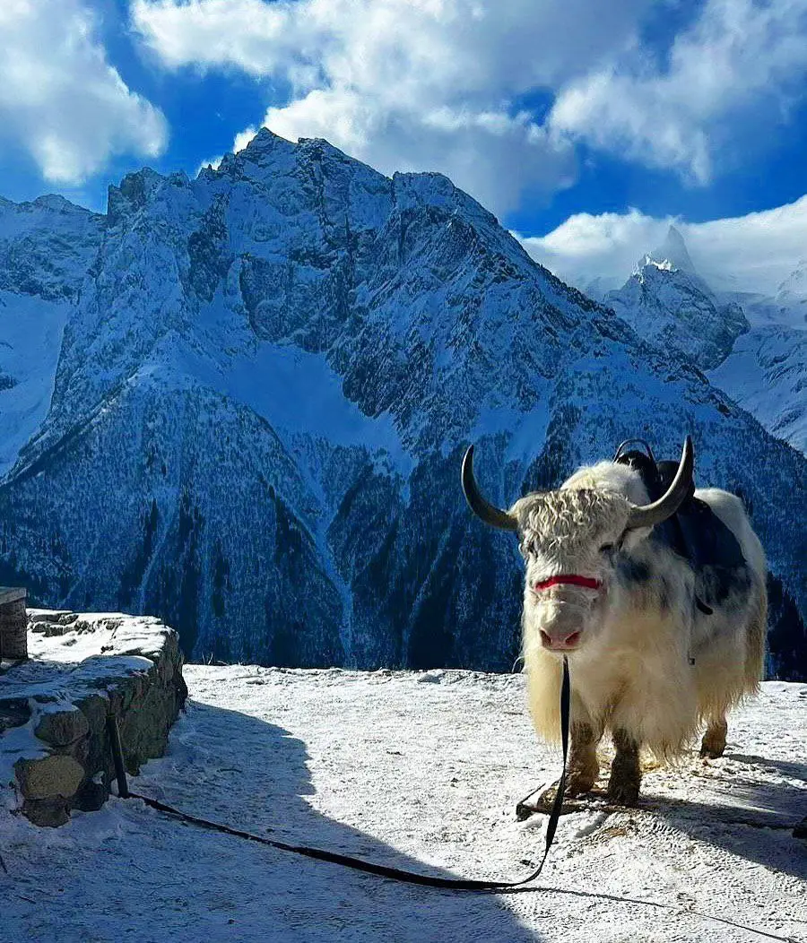 Поездка в зимнюю сказку Домбай