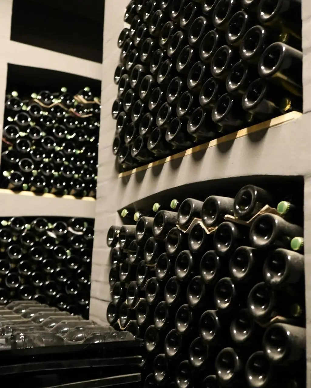 Тур по винодельням Азовского моря