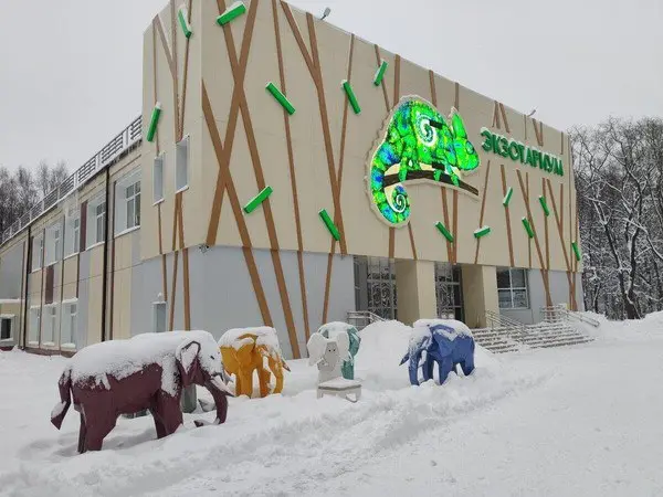 Интерактивная новогодняя программа Чары снежной королевы для школьников