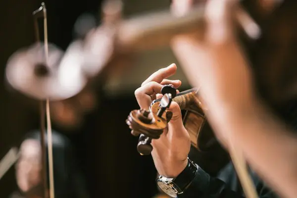 Концерт по теме Симфония Гарри Поттер