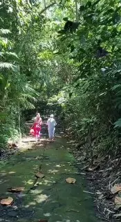 Двухдневный Ретрит по очищению и перезагрузке