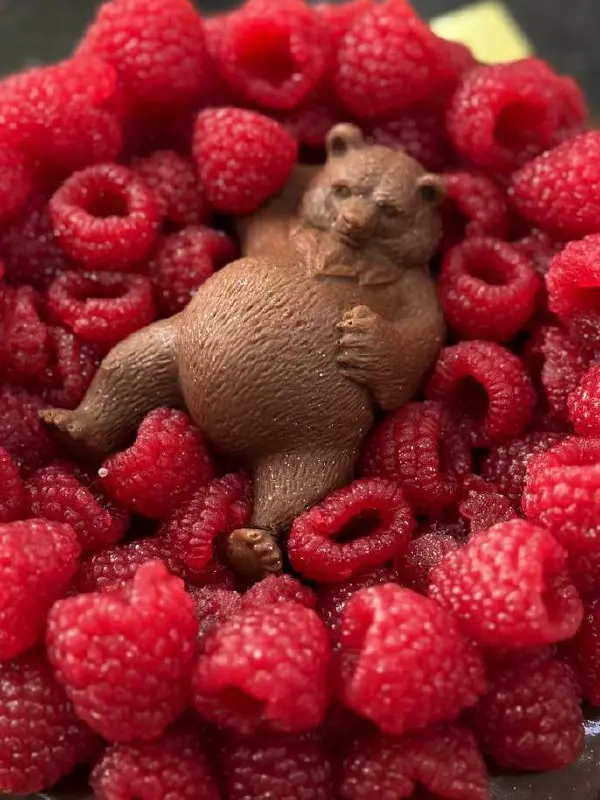 Мастер-класс по приготовлению десерта Мишка