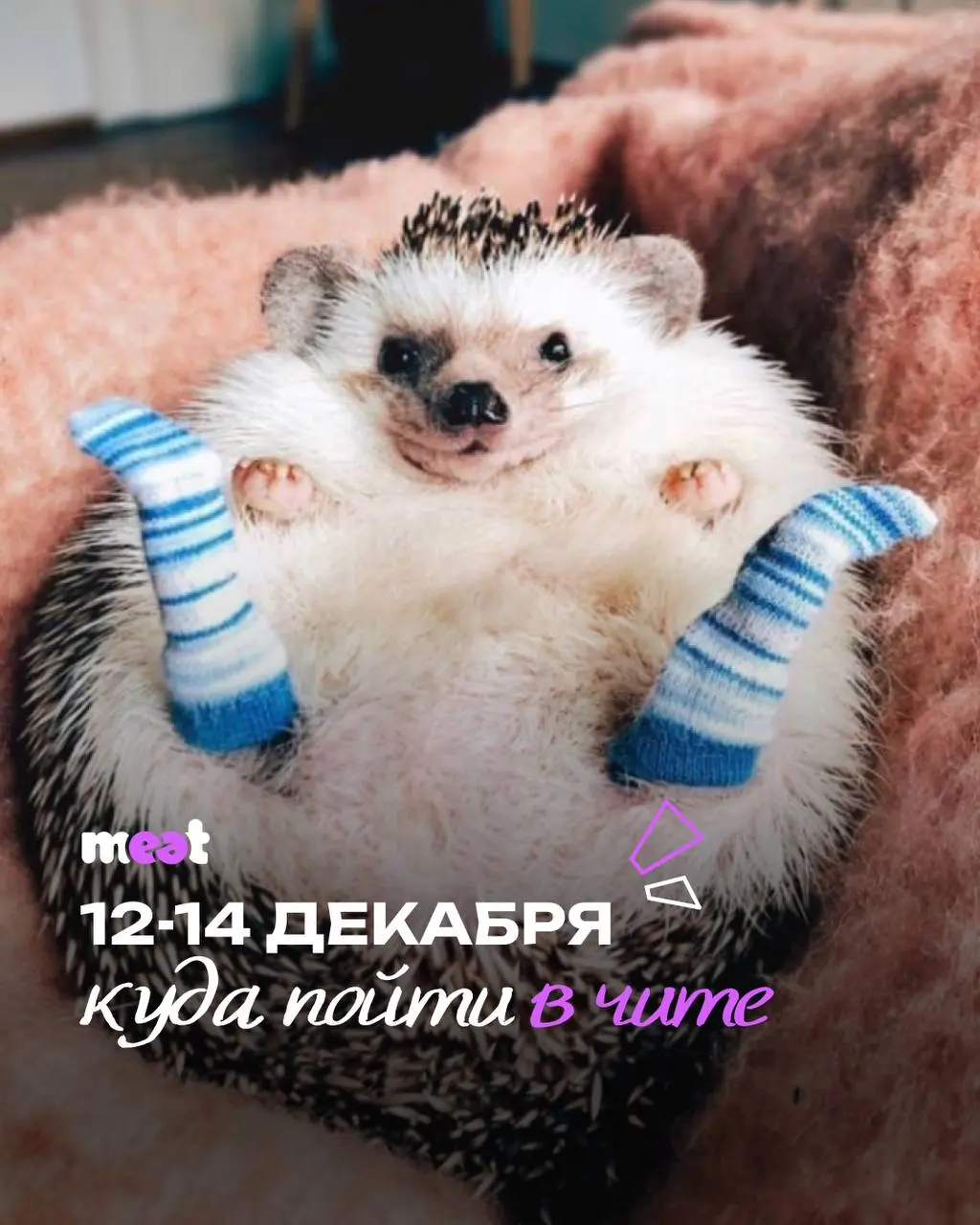 Выступление группы АКУСТИЧЕСКАЯ