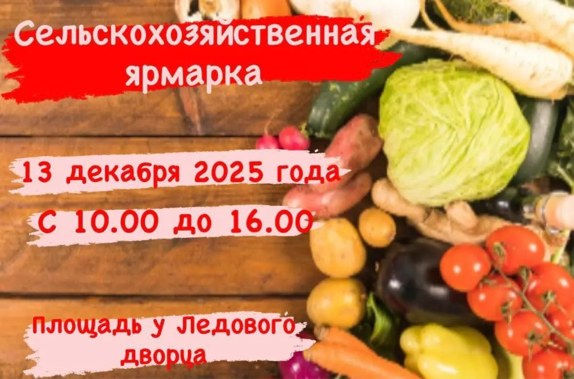 Предновогодняя ярмарка в Нефтекамске