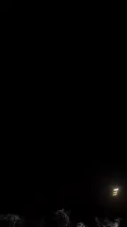 Предновогодняя вечеринка для девушек