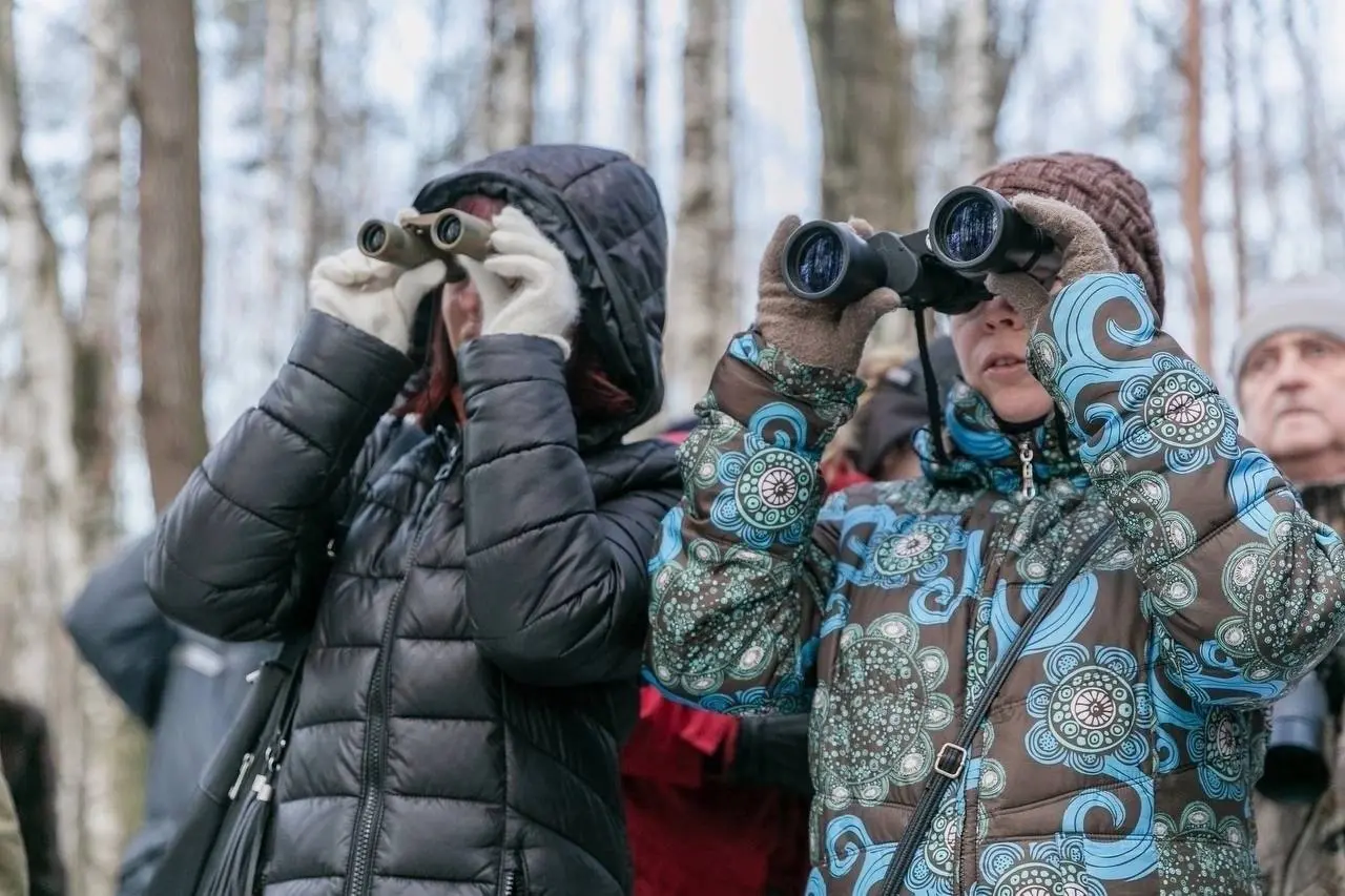 Орнитологическая прогулка по Пискаревскому лесопарку