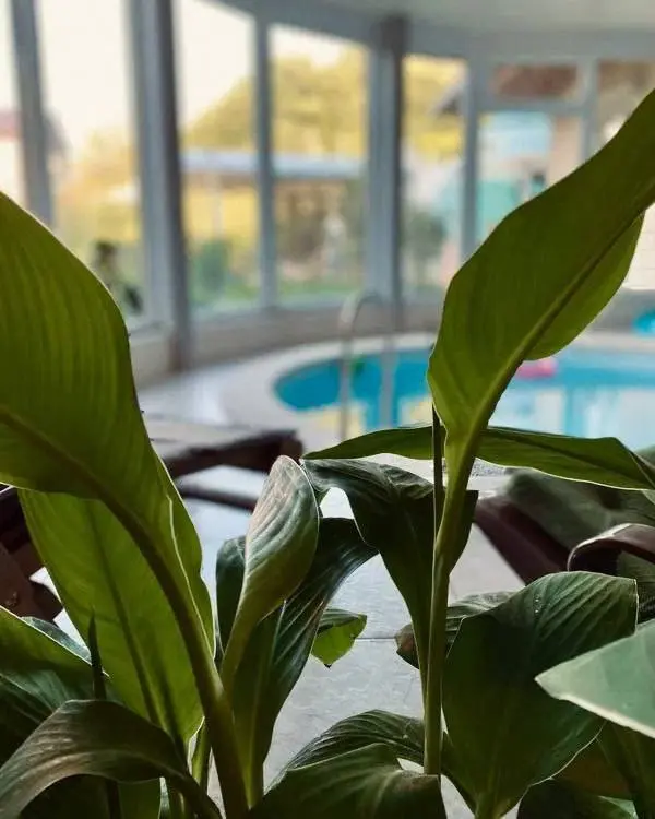 Йога-ретрит Время перемен