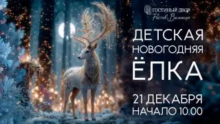 Новогоднее шоу по мотивам Холодного сердца