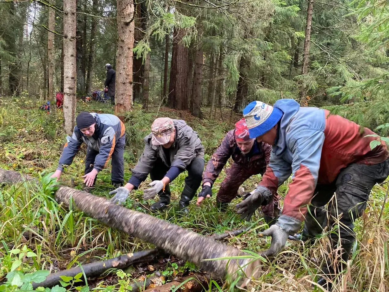 Прогулка-распиловка по расчистке лыжного маршрута