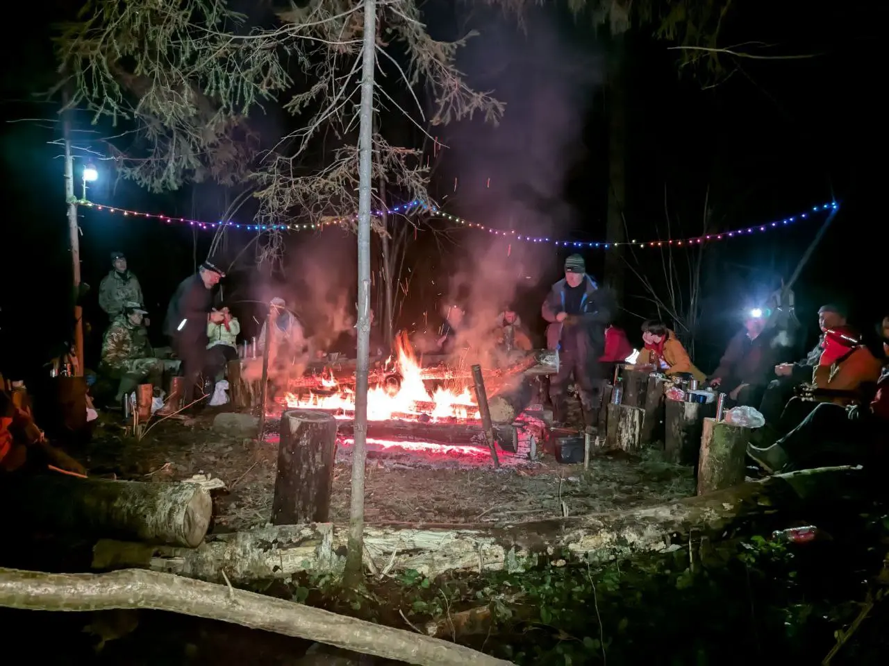 Прогулка-распиловка по расчистке лыжного маршрута