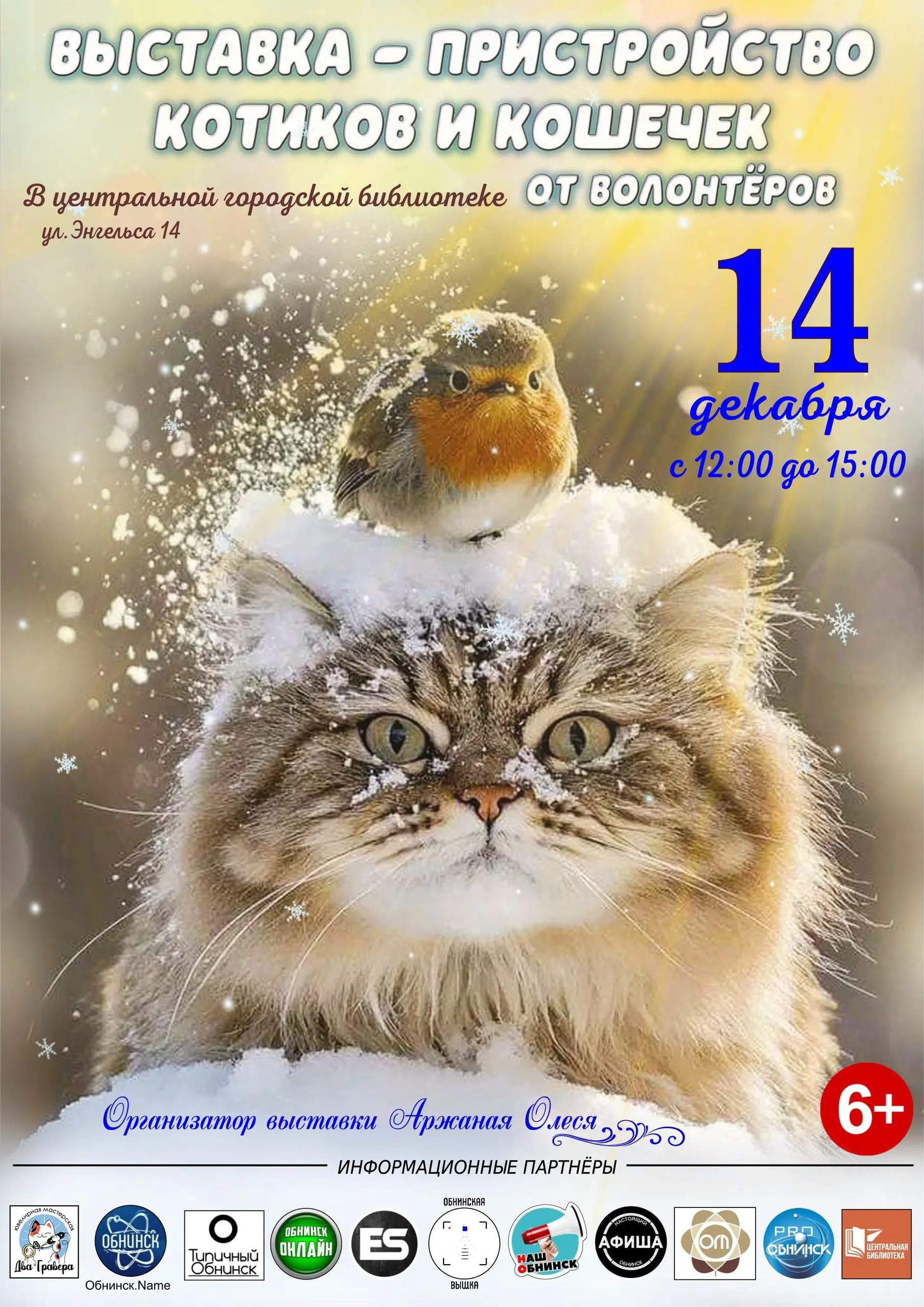 Выставка-пристройство кошек и котят