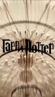 Концерт по киновселенной Гарри Поттера