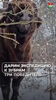 Экскурсия по нацпарку Угра для подписчиков