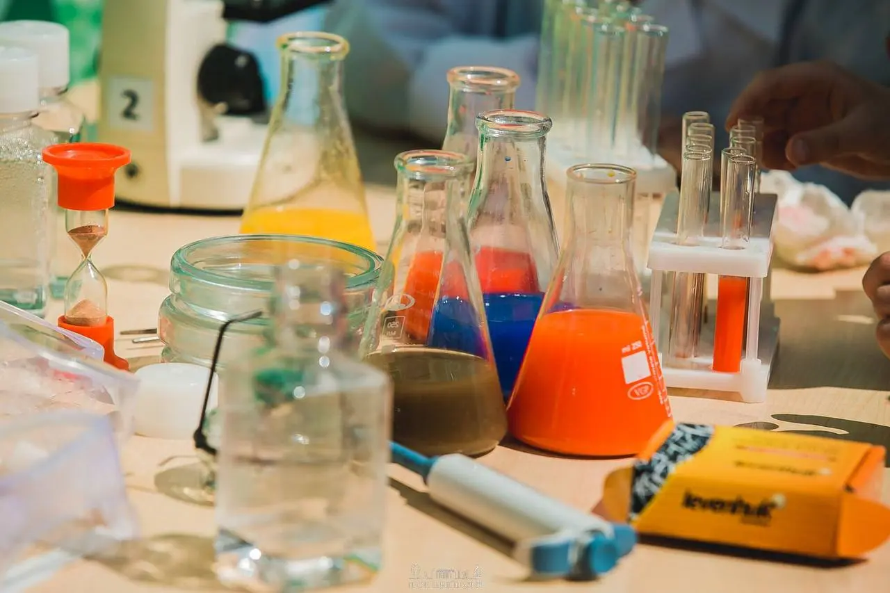 Новогодние приключения в центре Вега