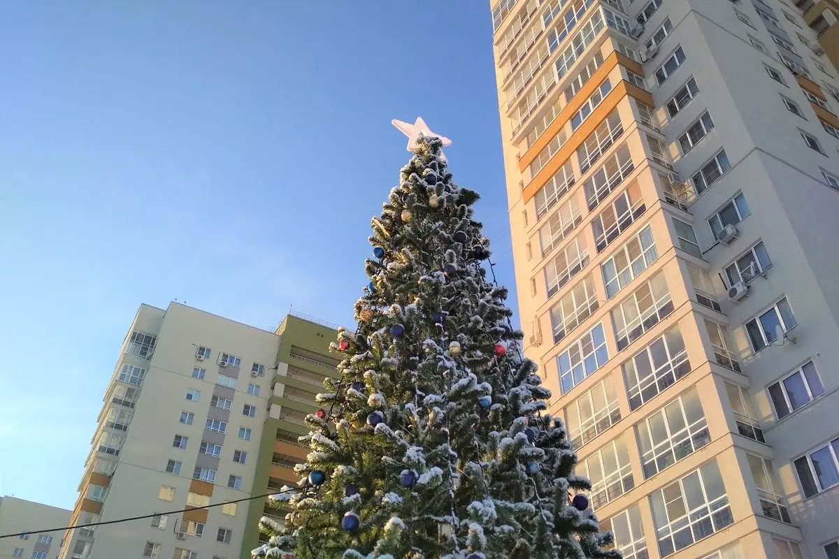 Установка большой елки в Цветах