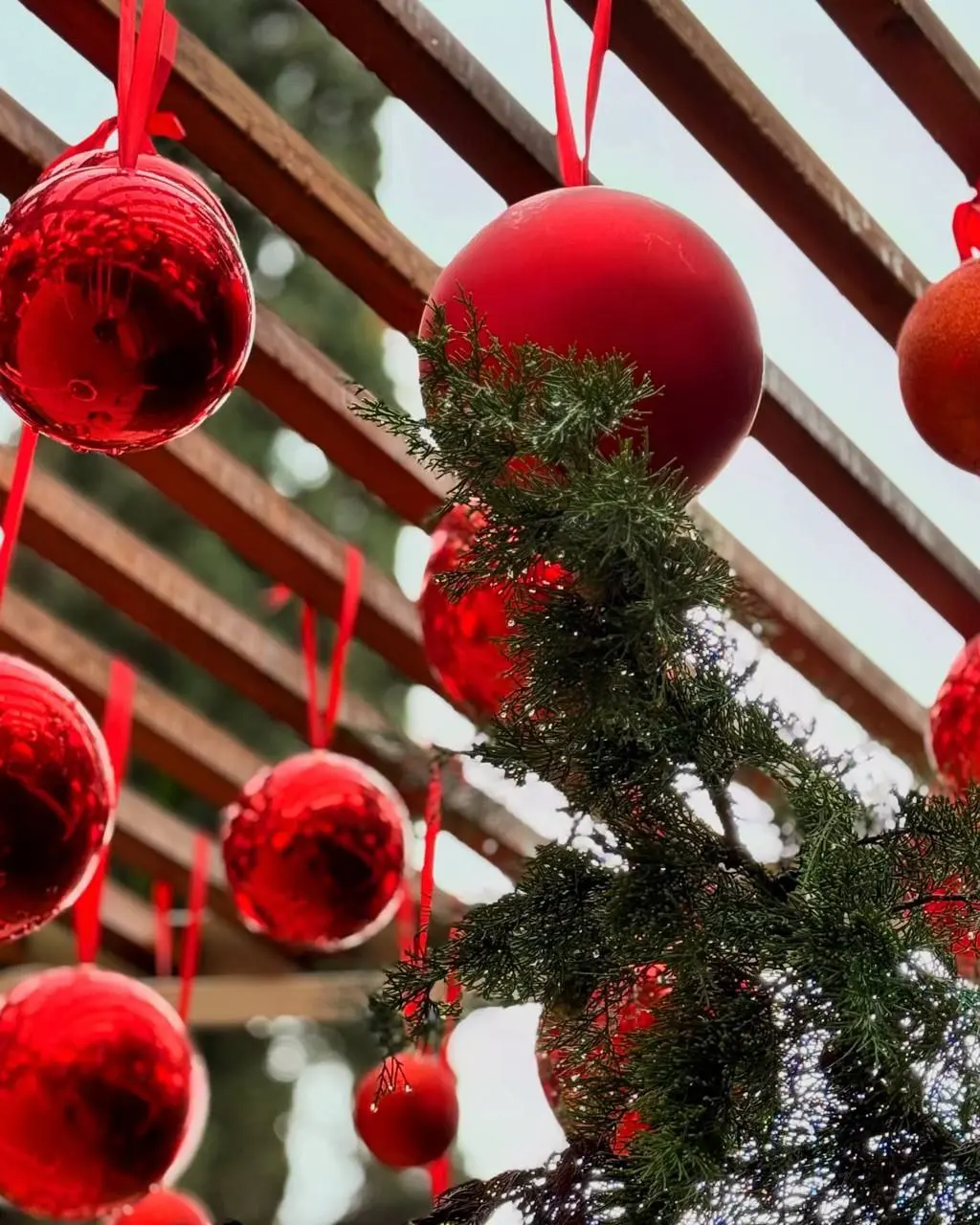 Музыкально-литературный час Елены Герун