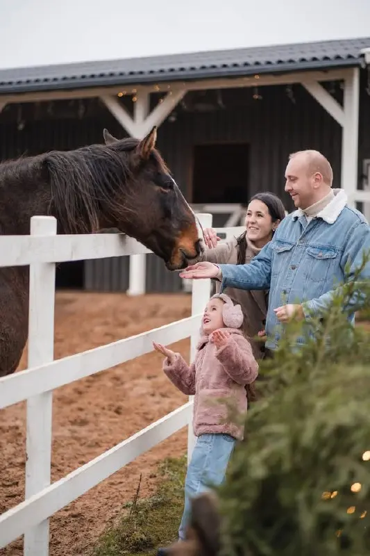 Семейное мероприятие по кормлению животных
