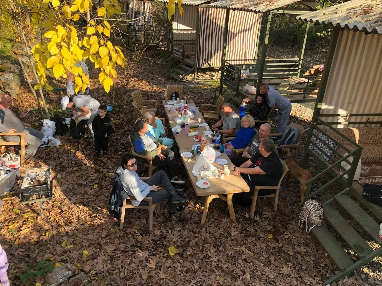 Пикник на природе с грибами
