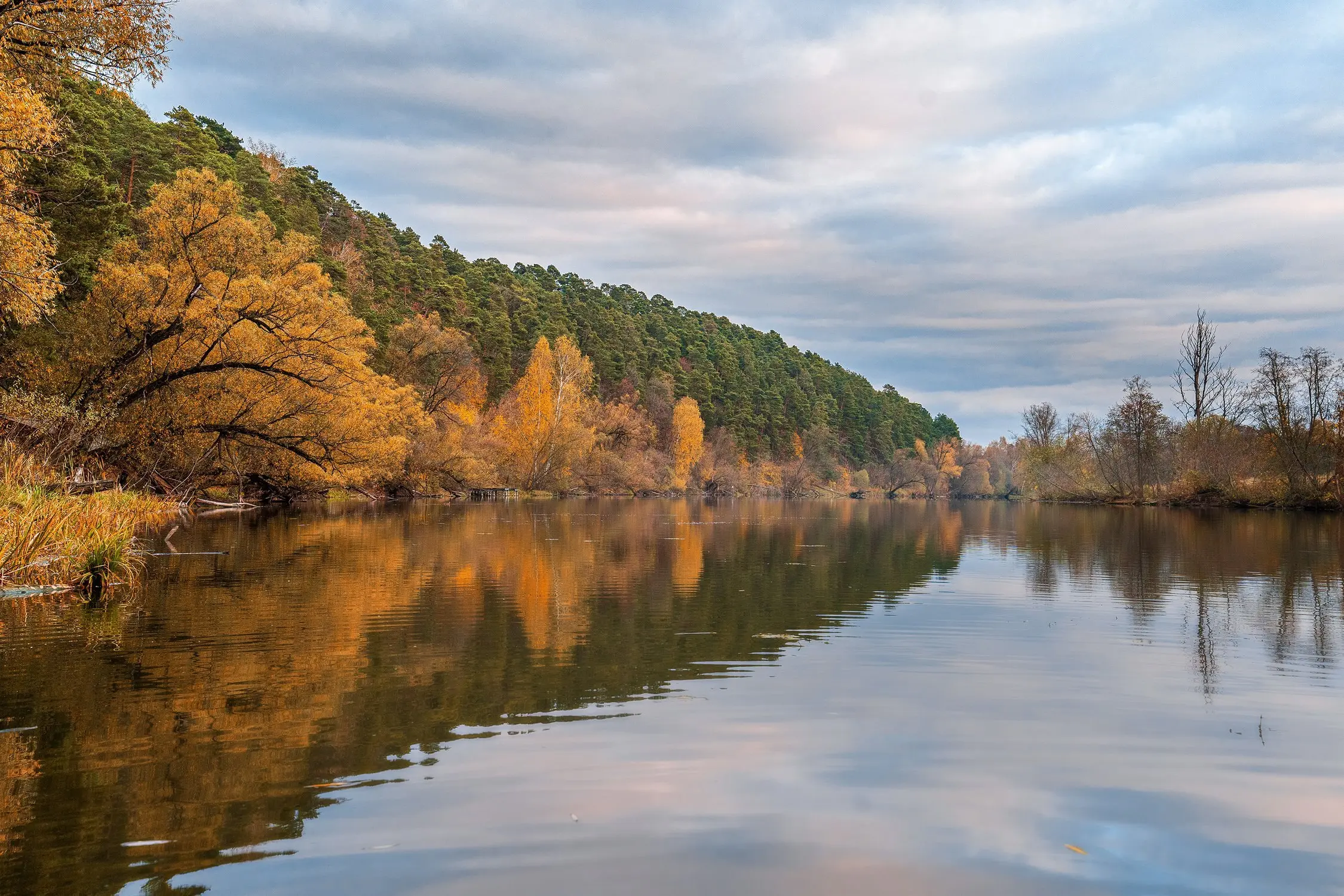 Пеший поход от Аникеевке до берега Москвы реки