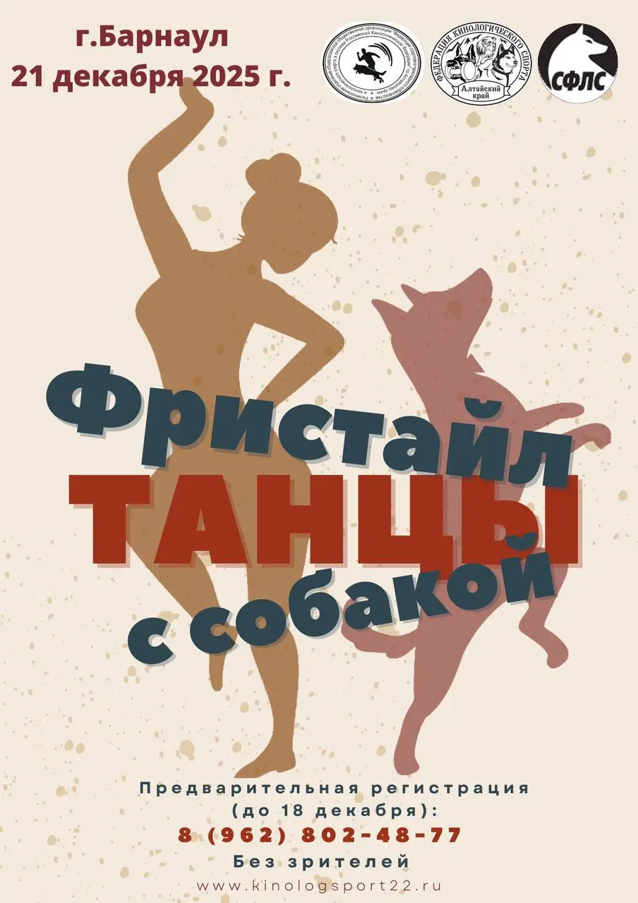 Соревнования по фристайл