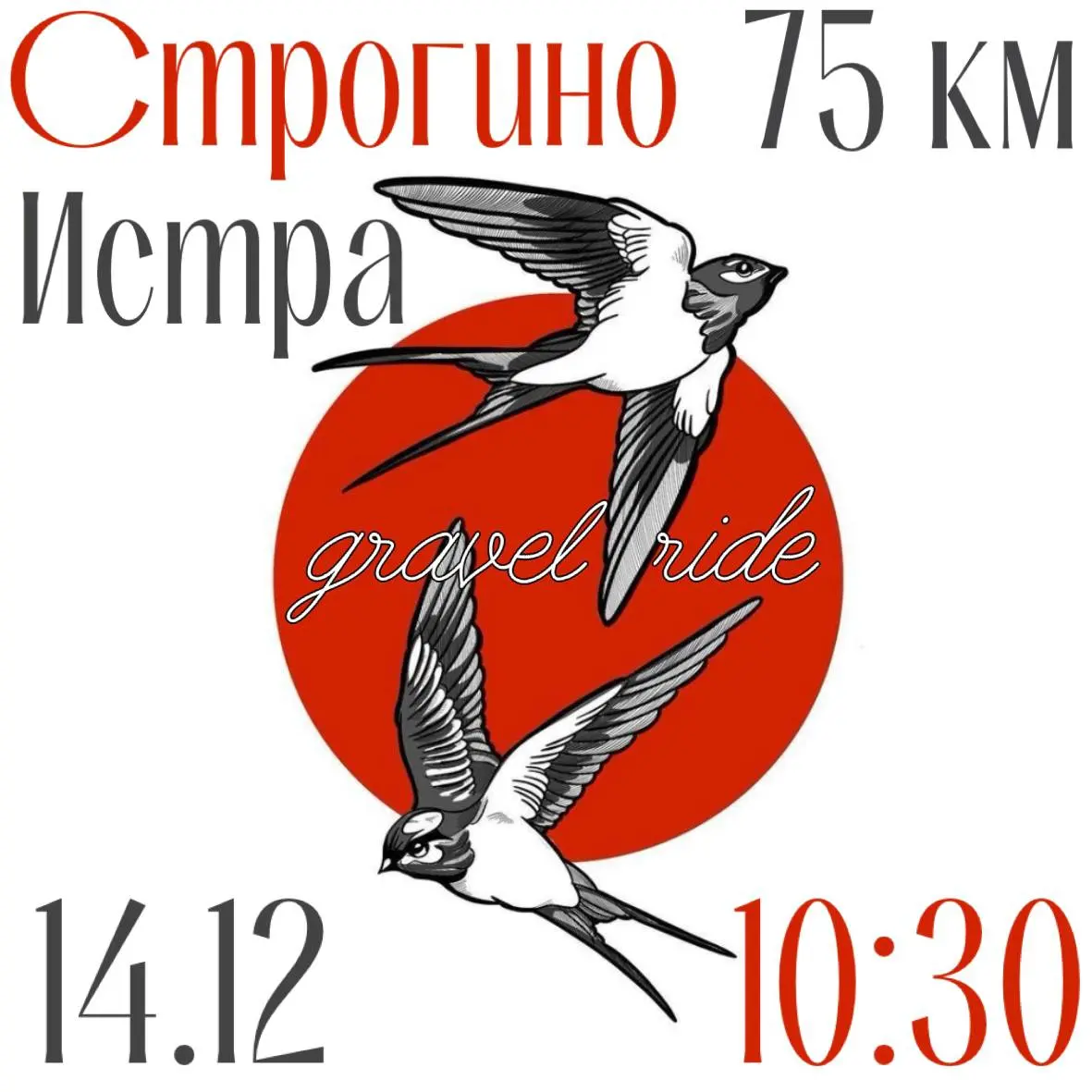 Велосипедная прогулка по маршруту