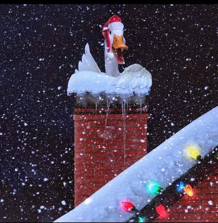 Игра в падел на завтра