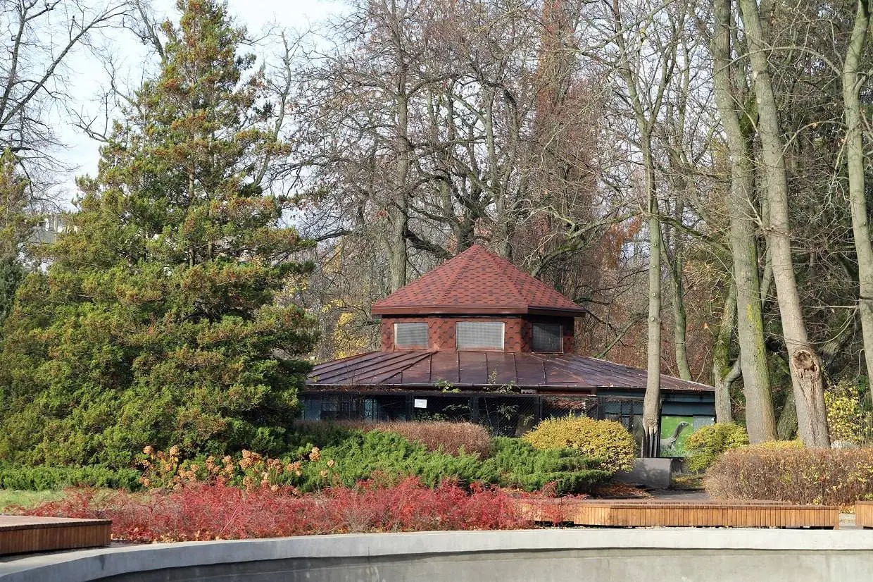 Экскурсия по зоопарку «Зоопарк ботанический»