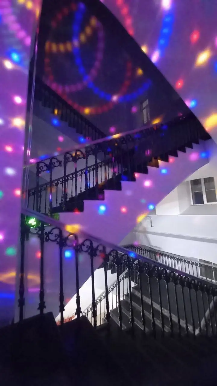 Интерактивная программа Новый год в Стране Чудес