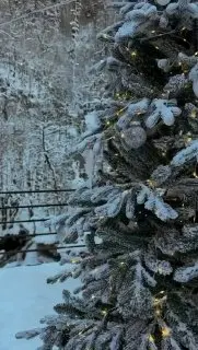 Путешествие в Гуамское ущелье