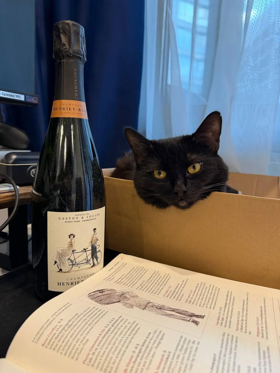 Завтрак с шампанским