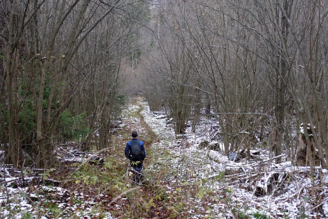 Пешая прогулка по Звенигородскому кольцу