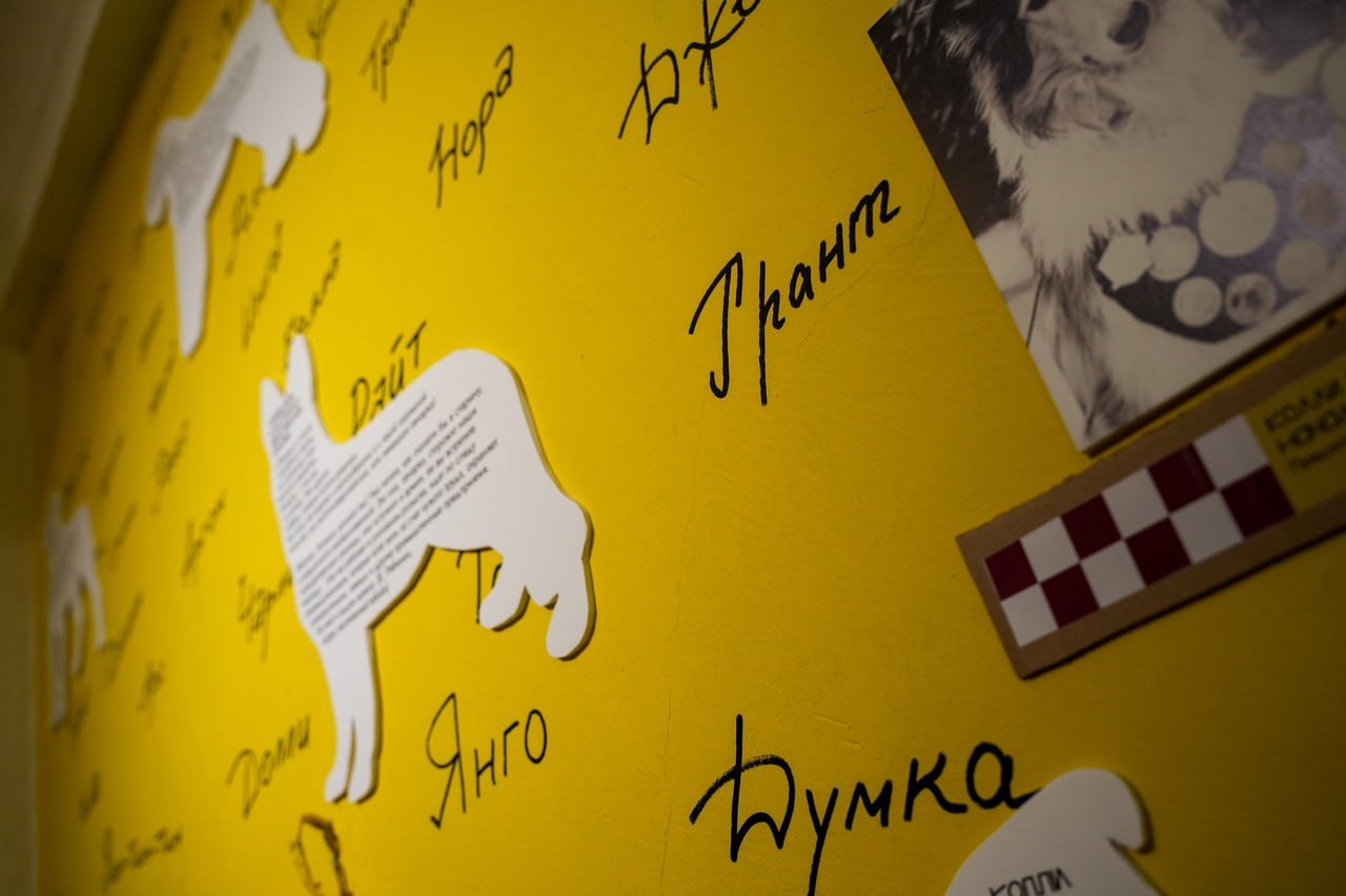 Выставка «Моё собачье дело»