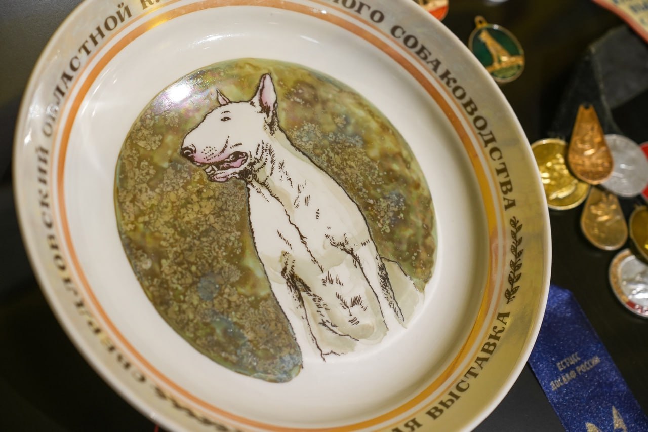 Выставка «Моё собачье дело»