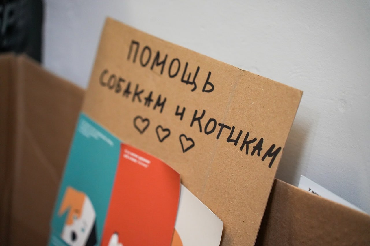 Выставка «Моё собачье дело»