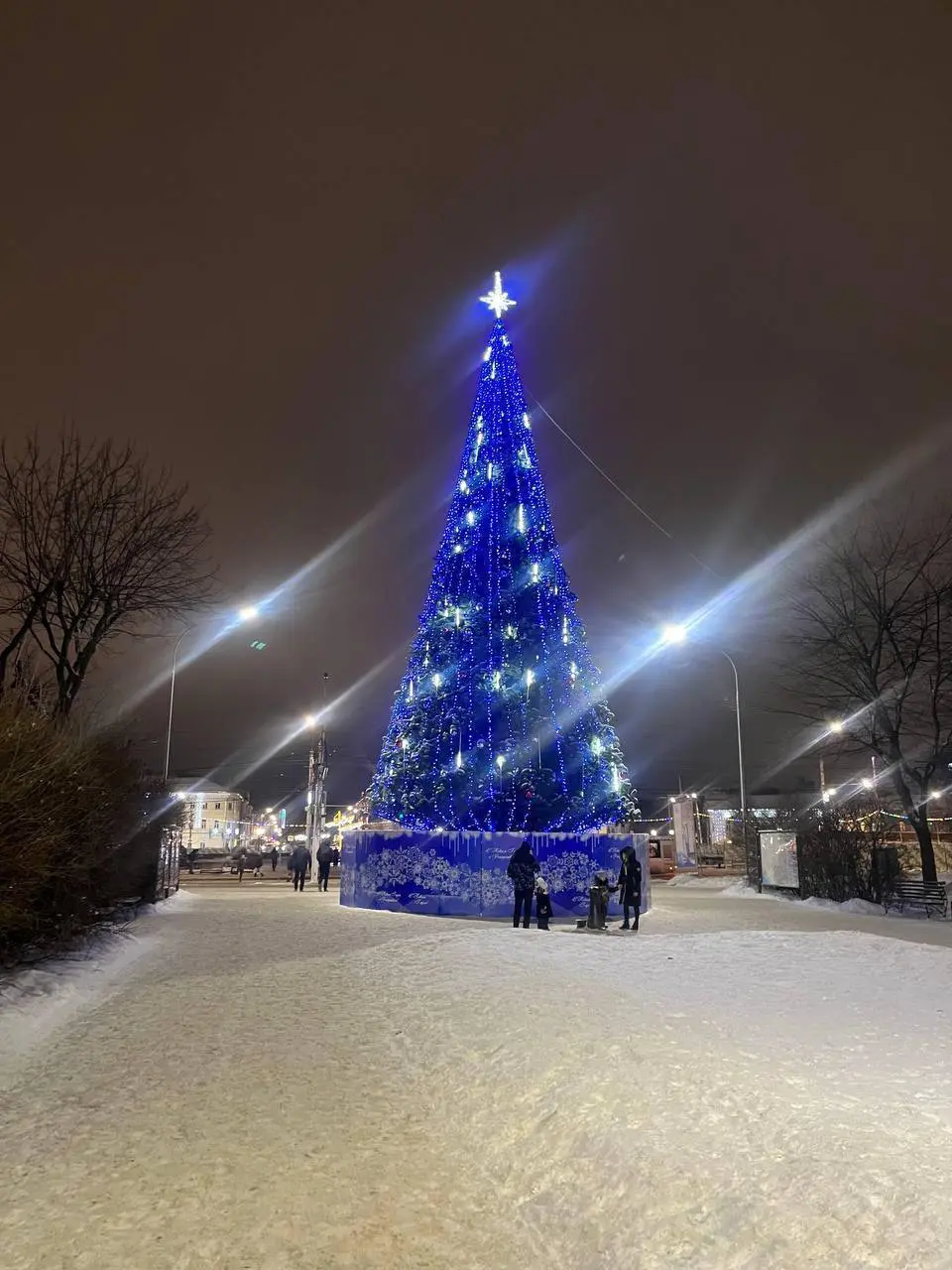 Новогодняя поездка в Кострому к Снегурочке