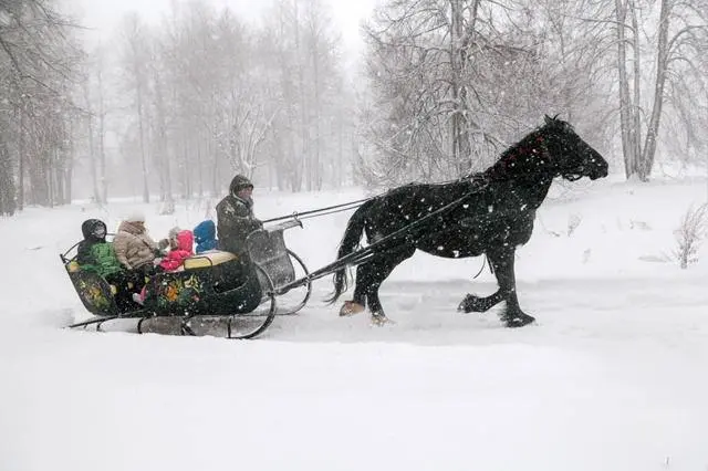 Новогодняя поездка в Кострому к Снегурочке
