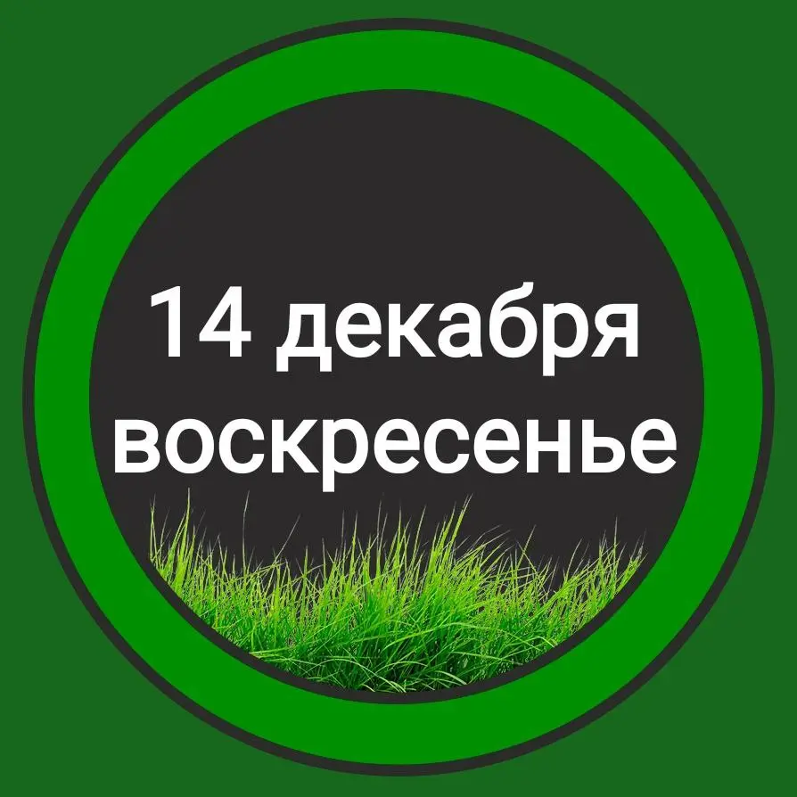 Арт-девичник на тему Год лошади