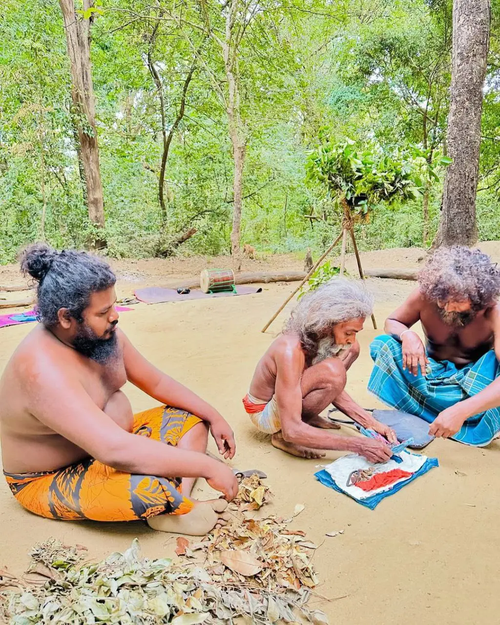 Тур по Шри-Ланке: Экскурсия по острову