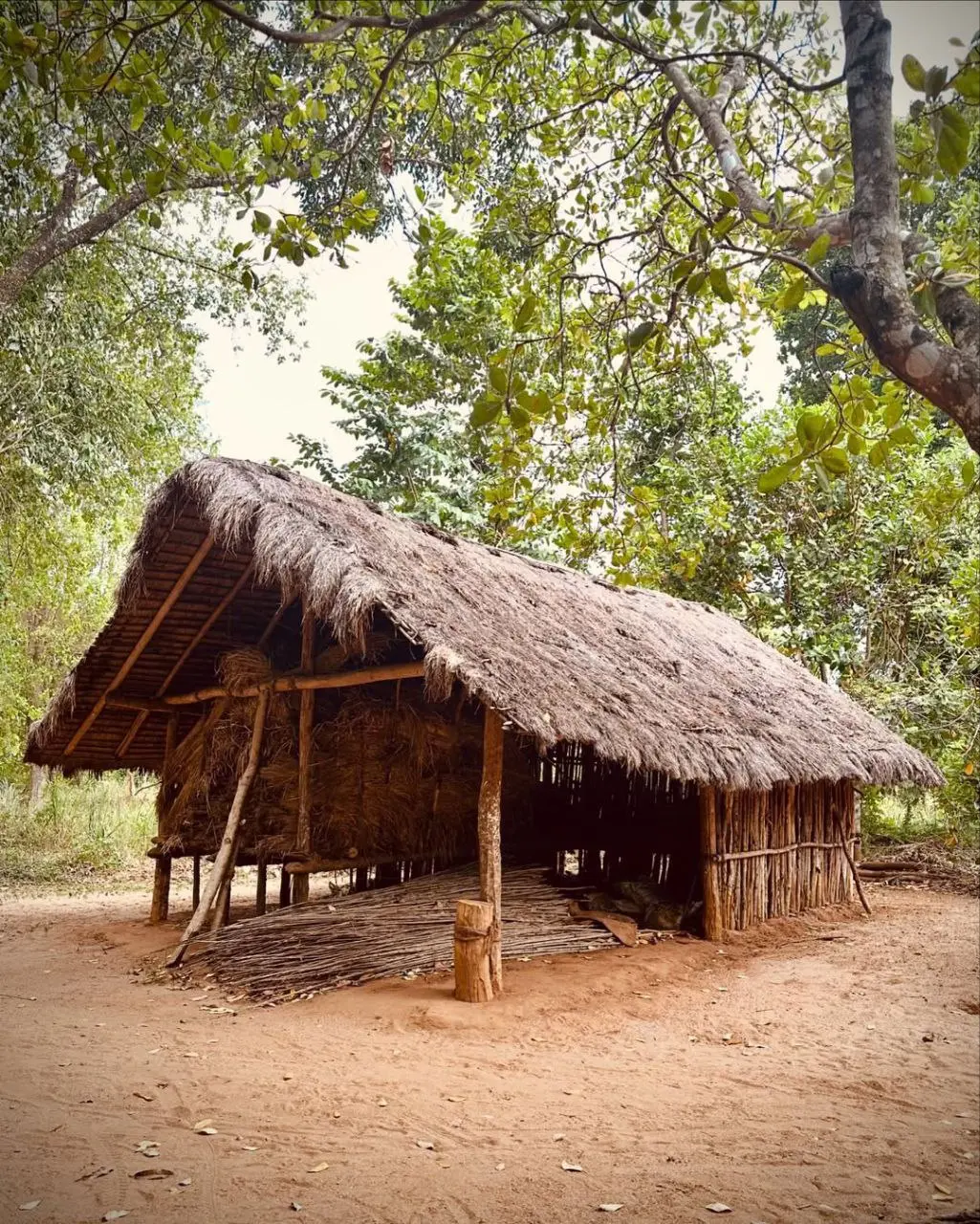 Тур по Шри-Ланке: Экскурсия по острову