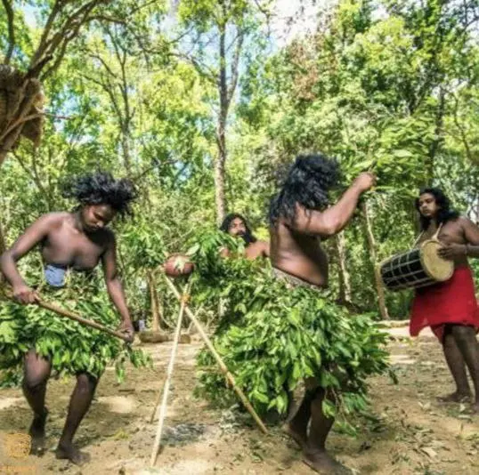 Тур по Шри-Ланке: Экскурсия по острову