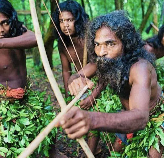 Тур по Шри-Ланке: Экскурсия по острову